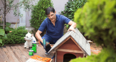 Pet Relocation Service